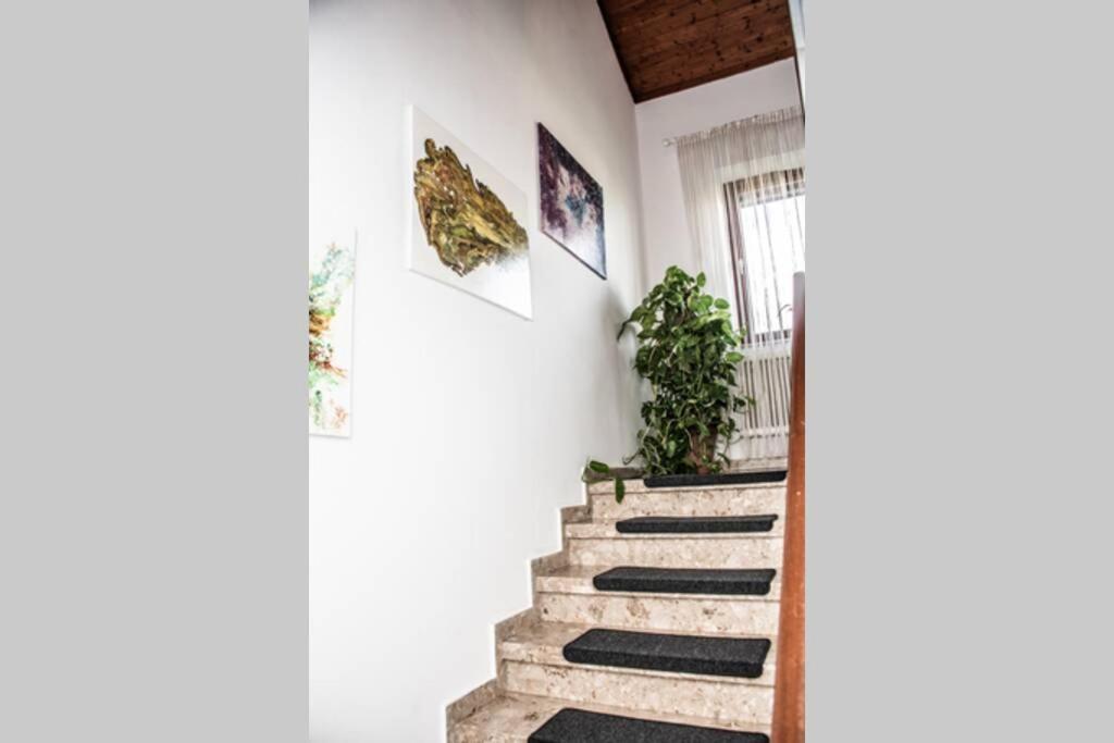 Apartment Pouringraz Fuer Kunst- Und Tennisliebhaber 외부 사진