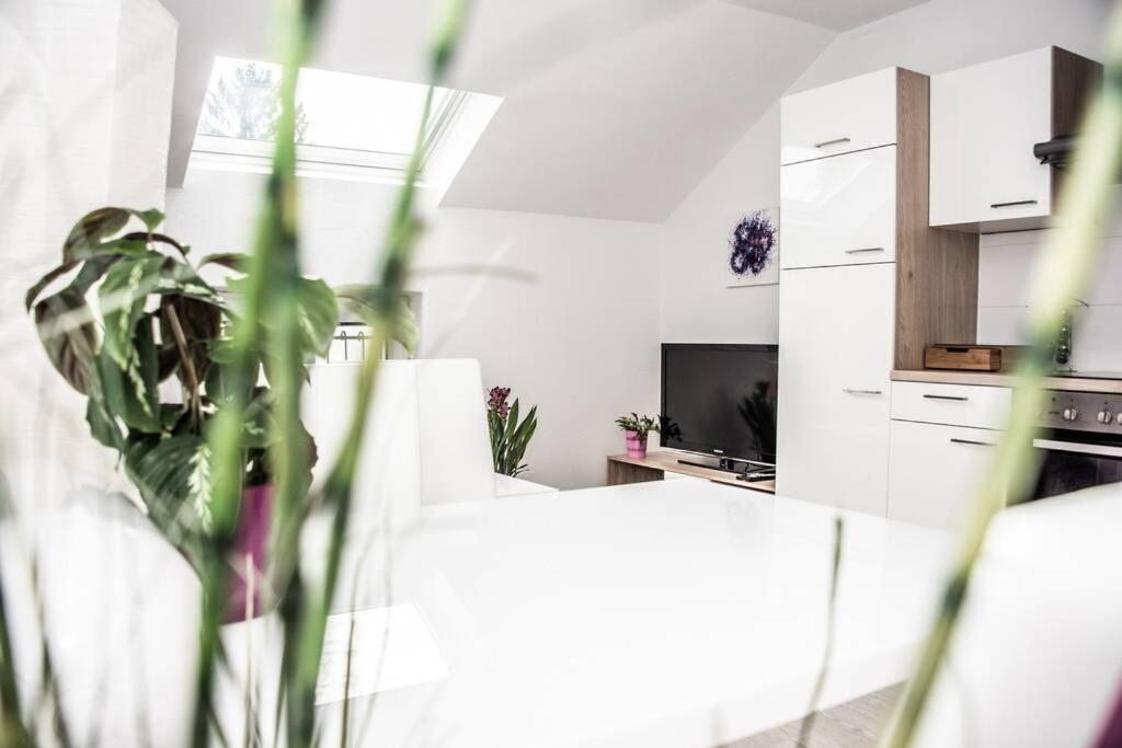 Apartment Pouringraz Fuer Kunst- Und Tennisliebhaber 외부 사진